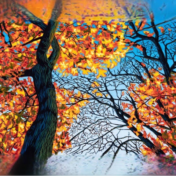 Mens Levi Strauss signature denim jacket size medium great for the fall season - Picture 6 of 17